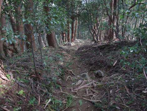 20181009hike (276)